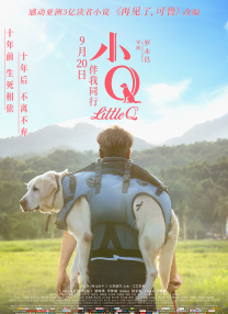 av免费看网址